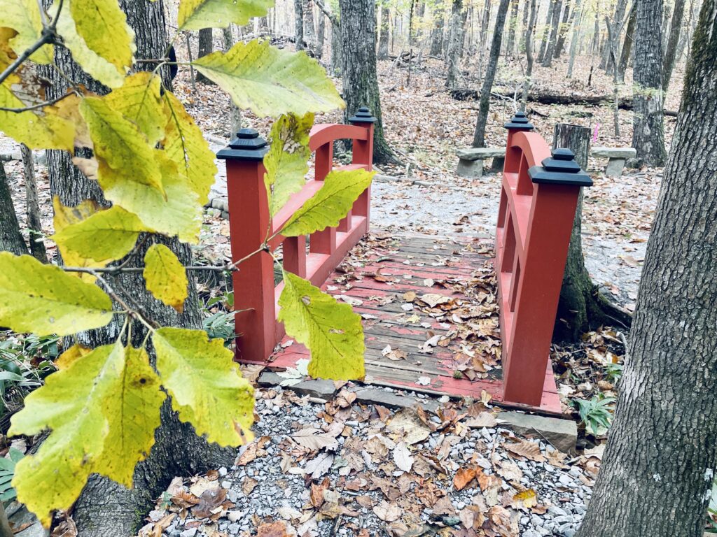 Entering the Japanese Garden using this welcoming red bridge...